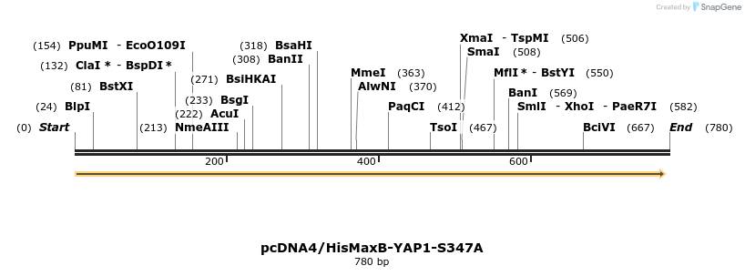 24931_map
