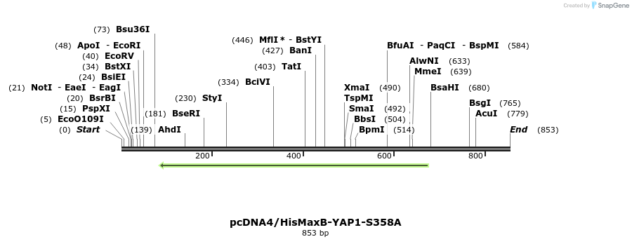 24932_map
