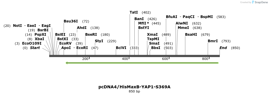 24933_map