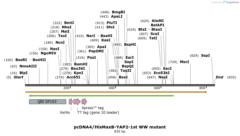 24936_map