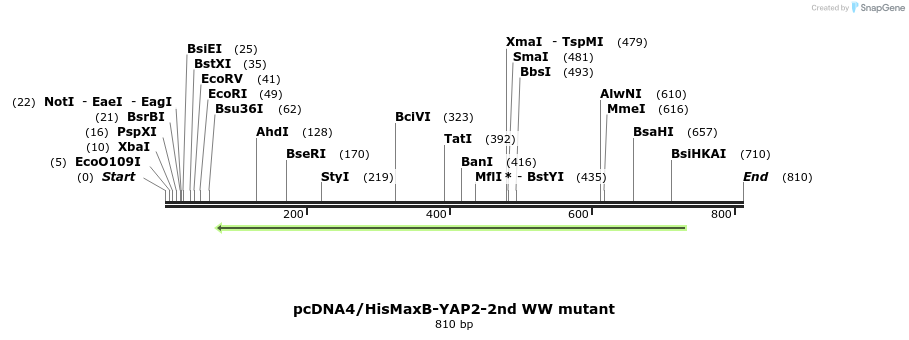 24937_map