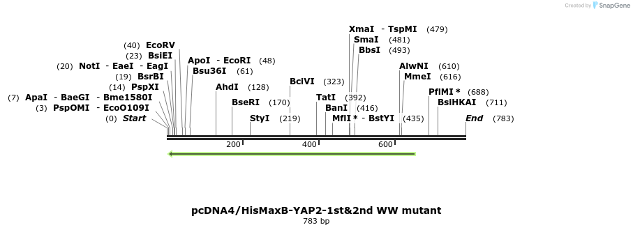 24938_map