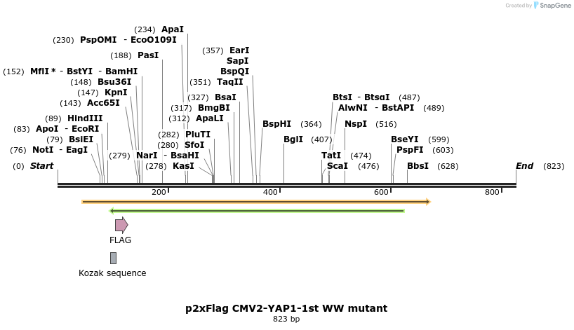24939_map