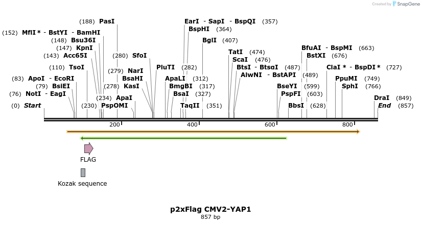 24941_map