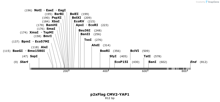 24942_map