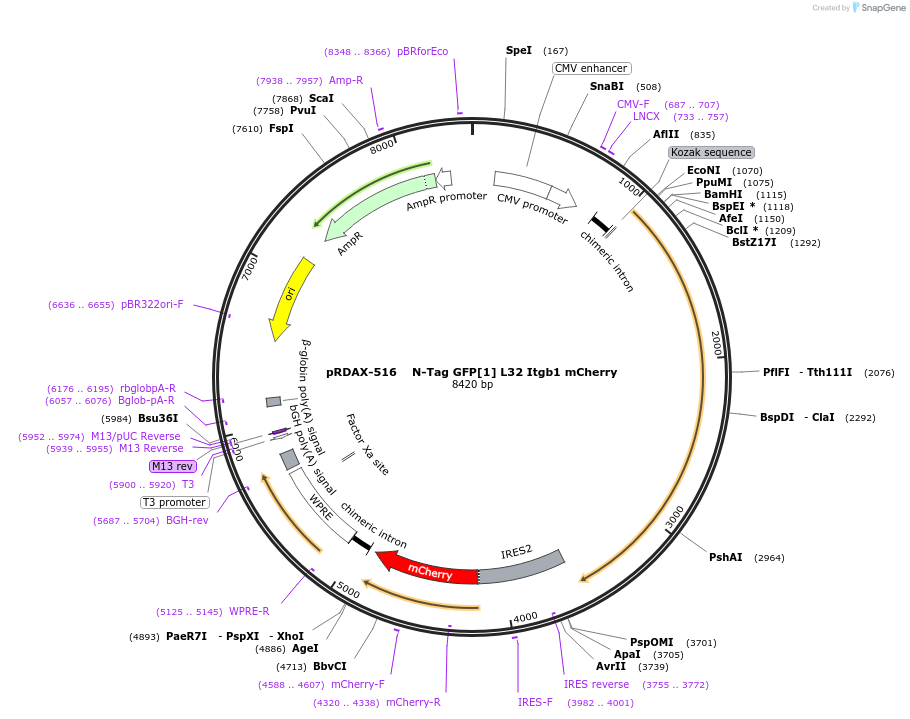 249421_map