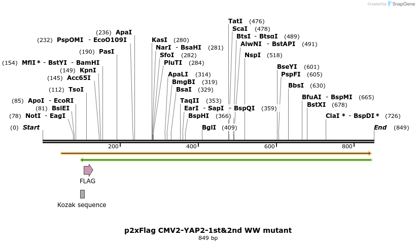 24946_map
