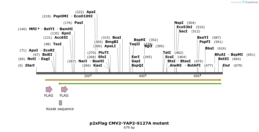 24947_map