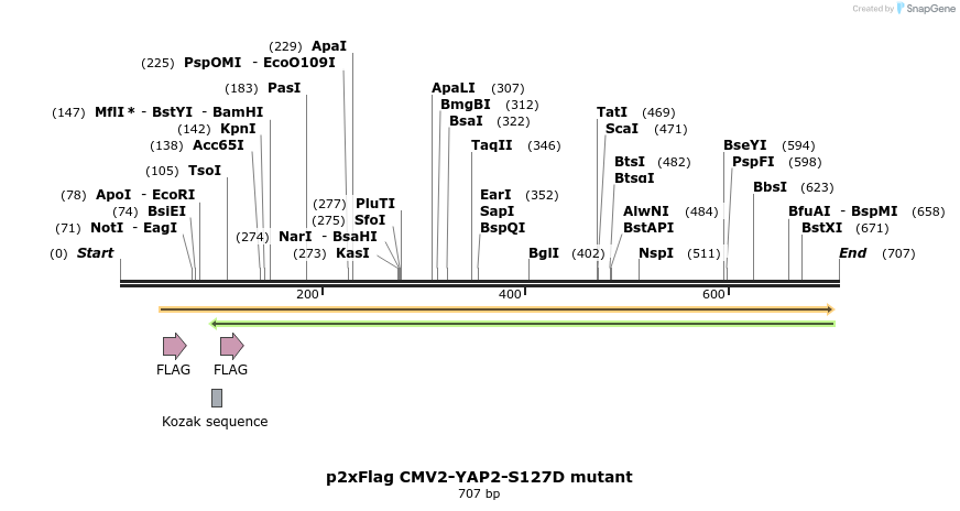 24948_map