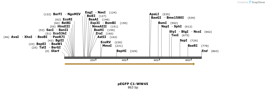 24949_map
