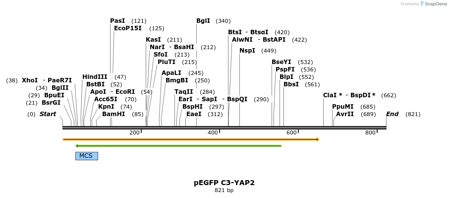 24952_map
