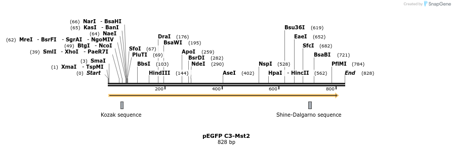 24953_map