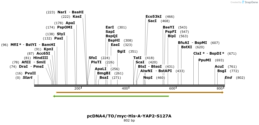 24959_map