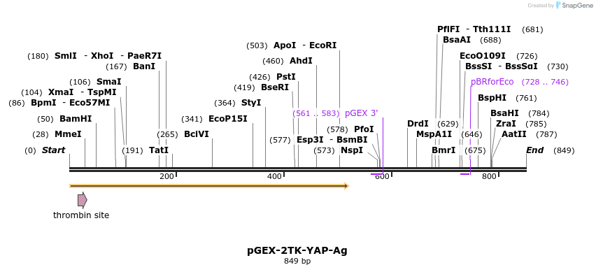 24960_map