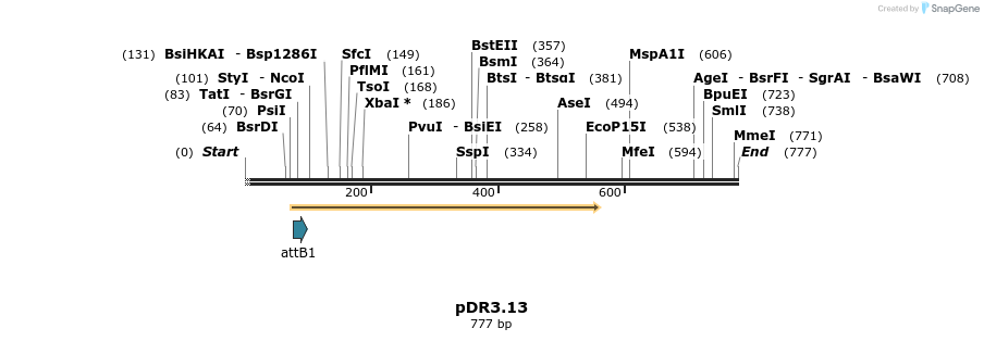 24961_map