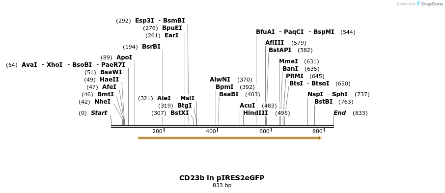 24962_map