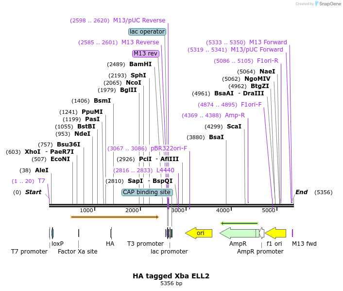 249627_map