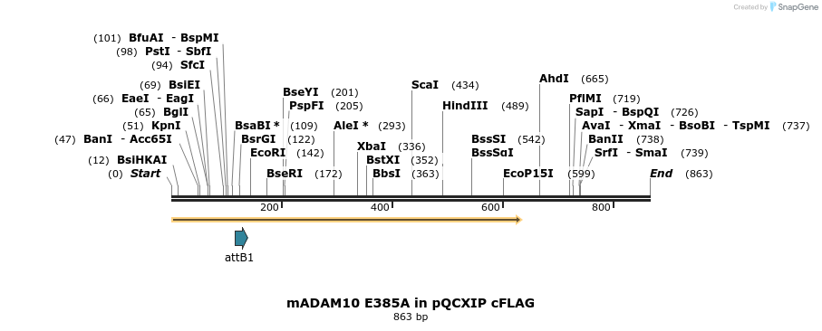 24963_map