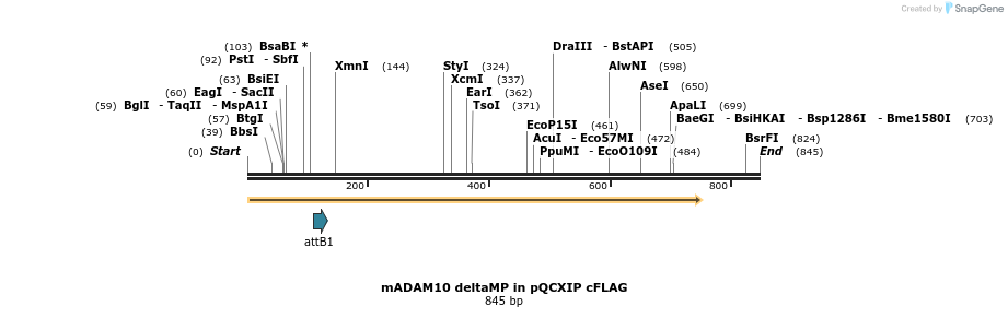 24964_map