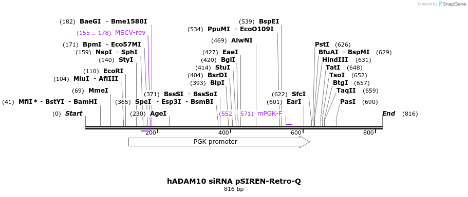 24967_map