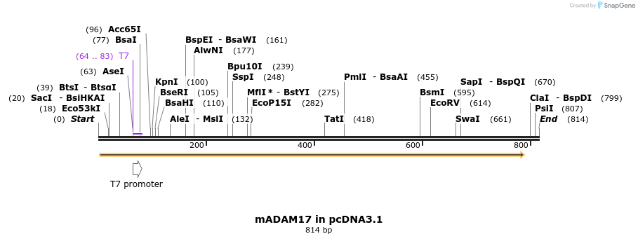 24968_map