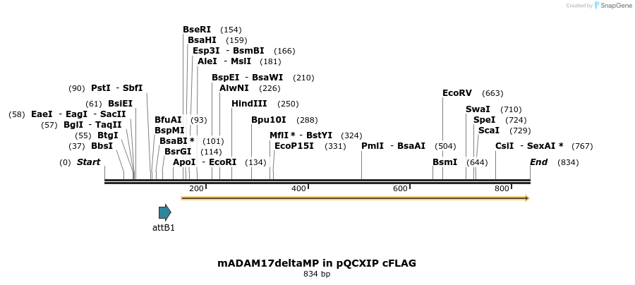 24969_map