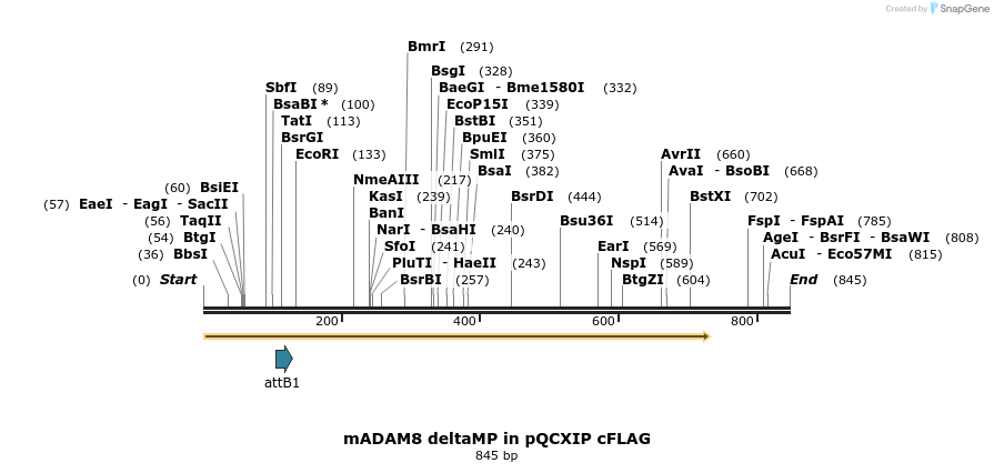 24970_map