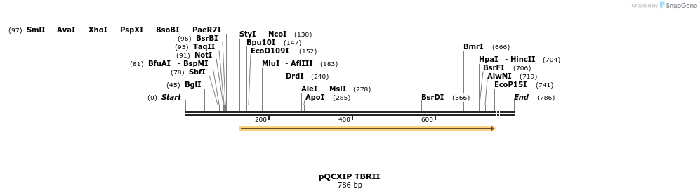 24973_map