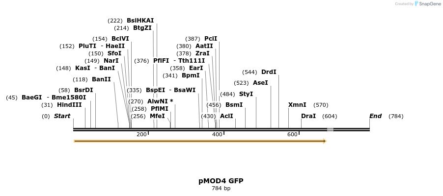 24975_map
