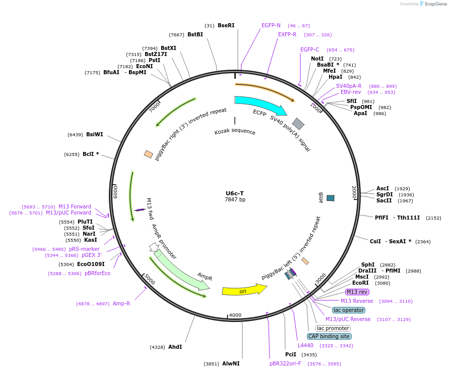 249750_map