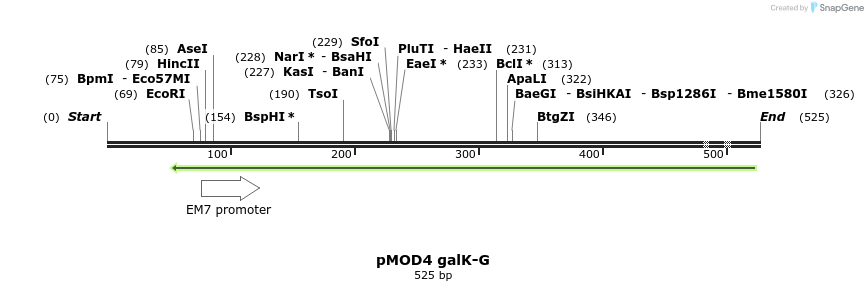 24977_map