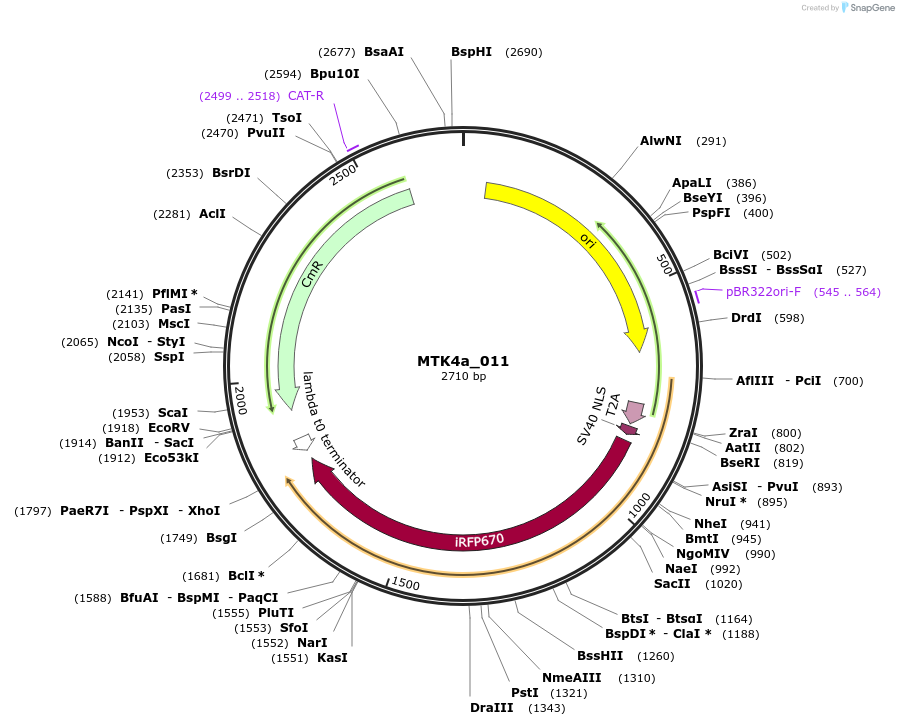 249770_map
