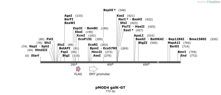 24979_map