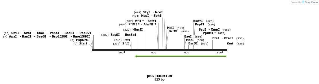 24983_map