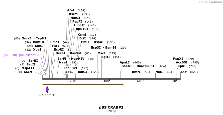 24986_map