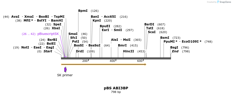 24989_map