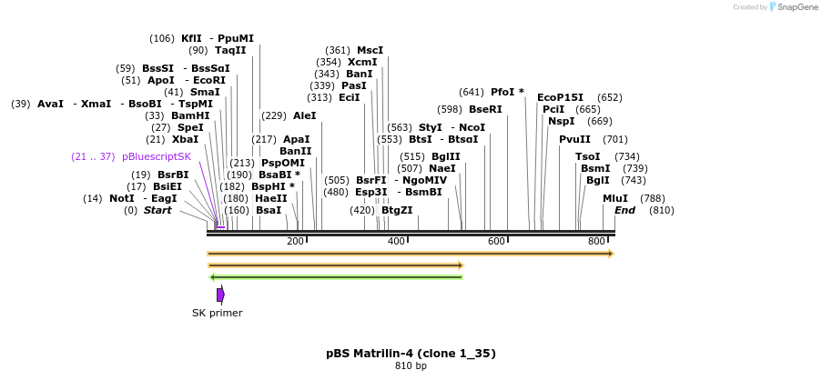 24990_map