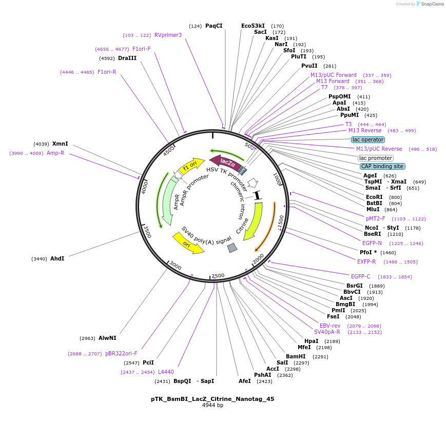 249902_map