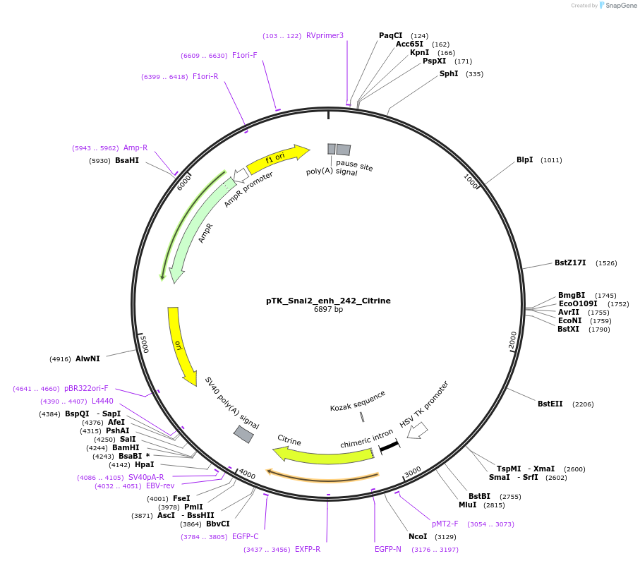 249907_map