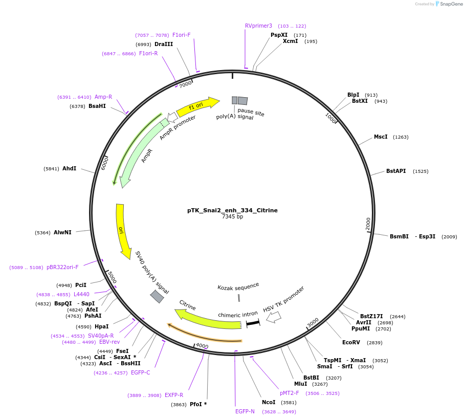 249909_map
