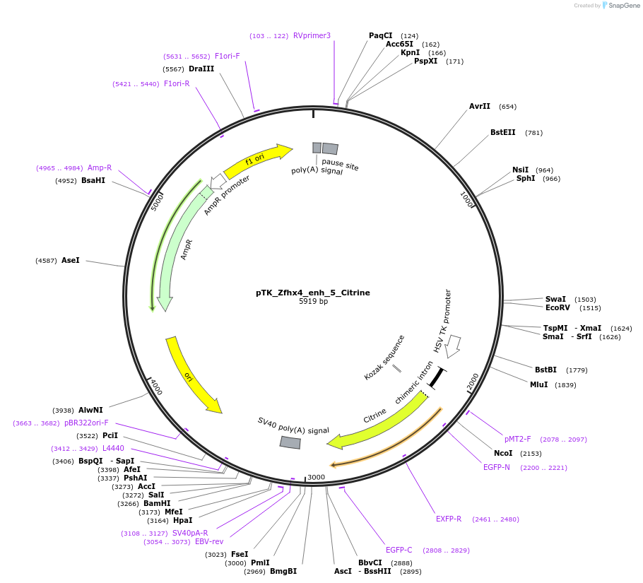 249926_map