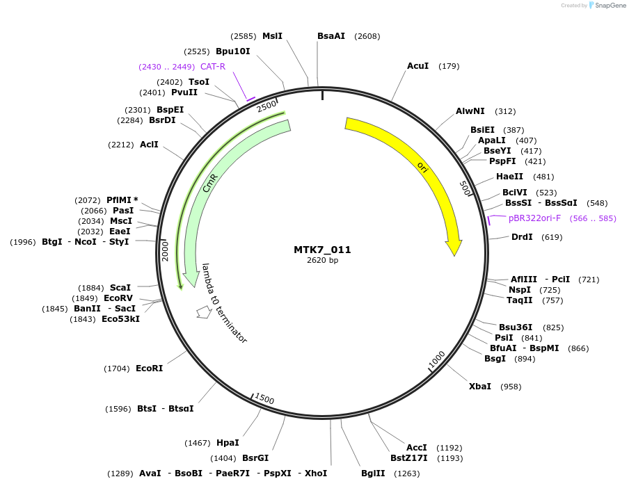 249974_map