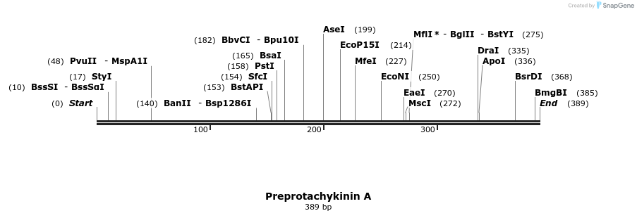249982_map