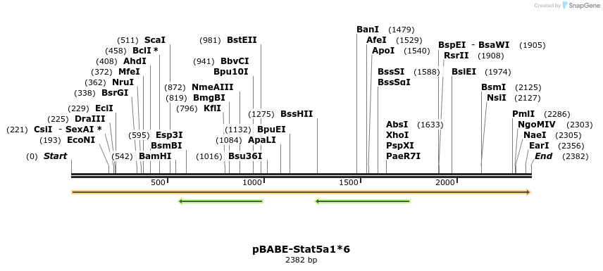 250023_map