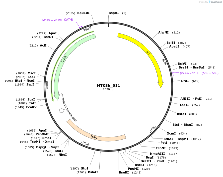 250031_map