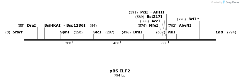 25008_map