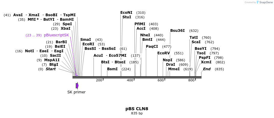 25010_map