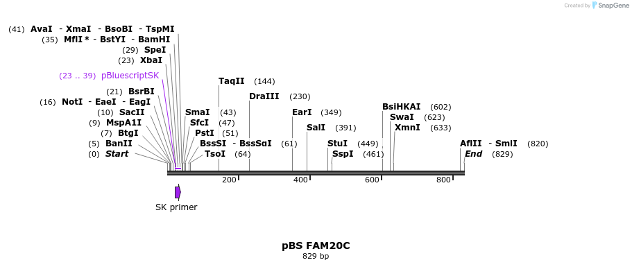 25012_map