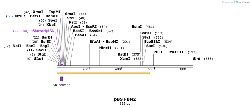 25013_map