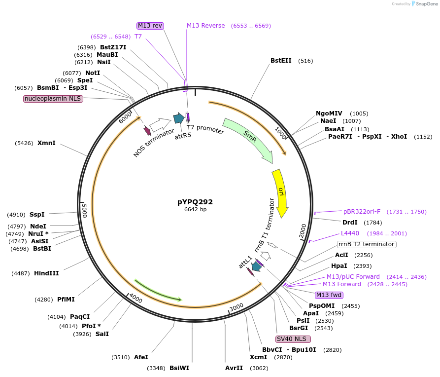 250131_map